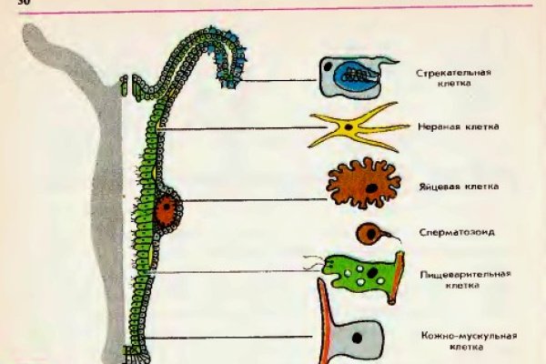 Омг официальная ссылка