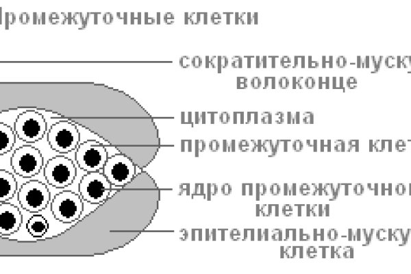 Сайт mega тор