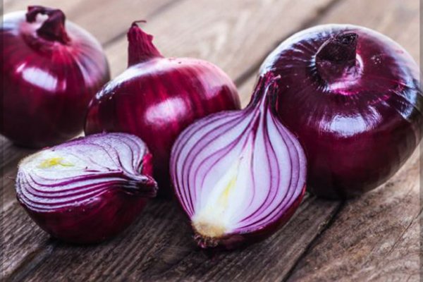 Megaruzxpnew4af onion com tor