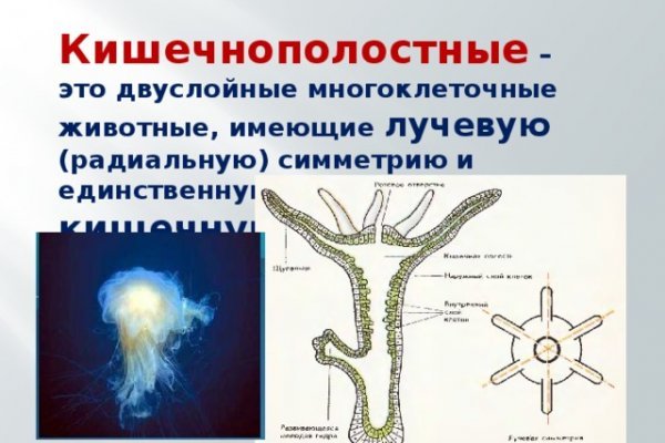 Ссылка крамп онион kra.mp